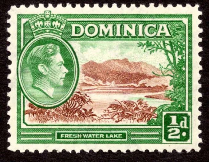 ¿Cómo registrar una empresa en Dominica y proteger sus activos de manera más segura?
