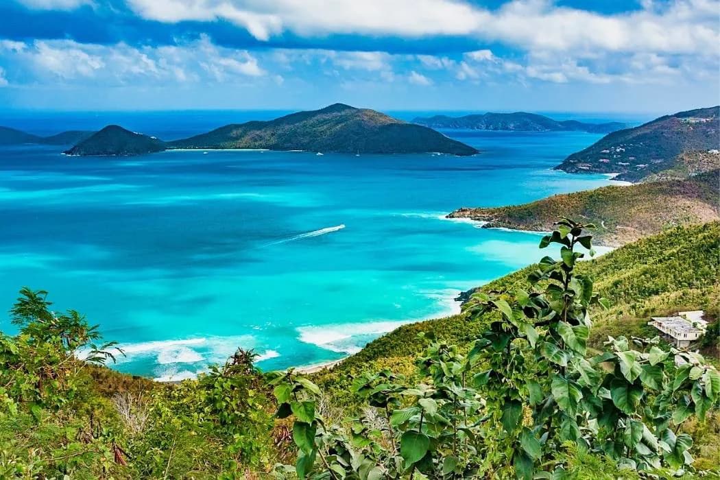 5 Ways a BVI Business Company Can Elevate Your Business in 2025