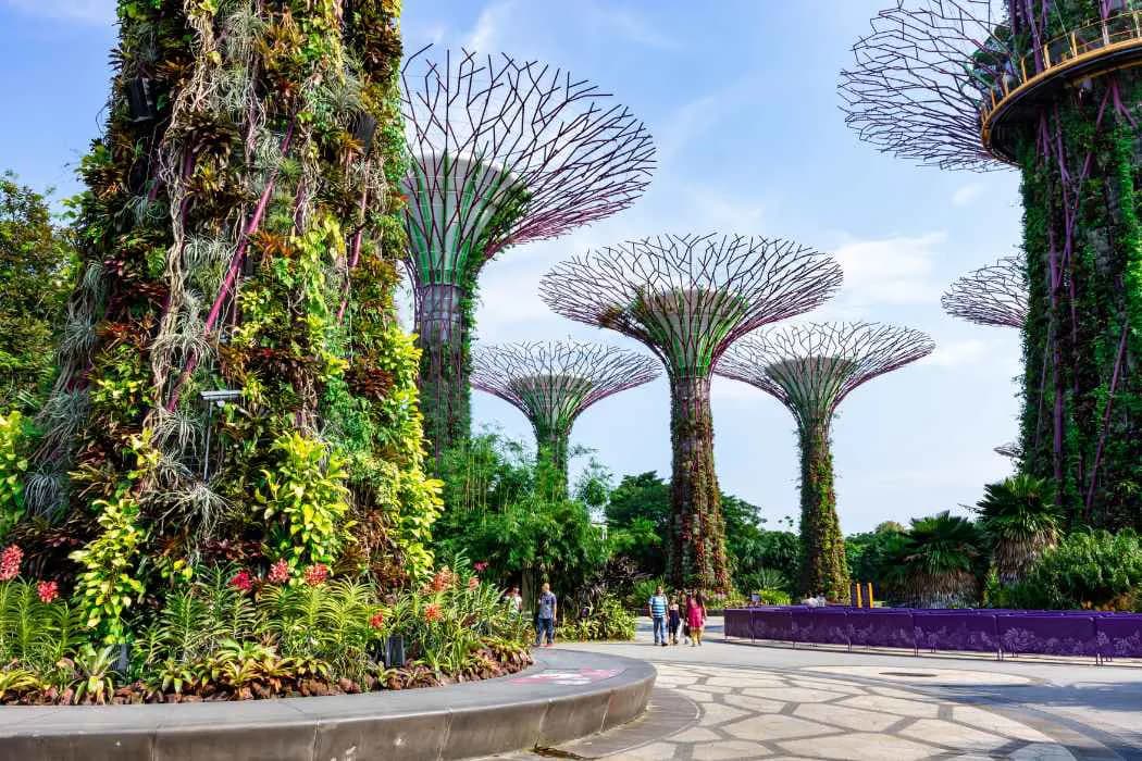 Requerimientos anuales para empresas de Singapur: negocios en un país sólido y confiable
