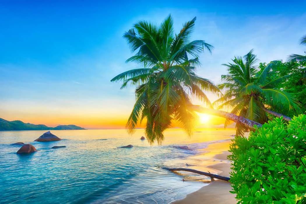 Where to find the best incorporation services? Advantages and disadvantages of Seychelles