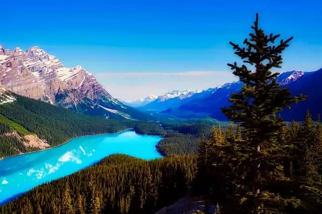 Establishing a Canada Limited Partnership