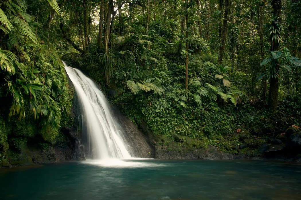 Historia de Vanuatu y las Nuevas Hébridas: el Nombre de “Nuestra Tierra”