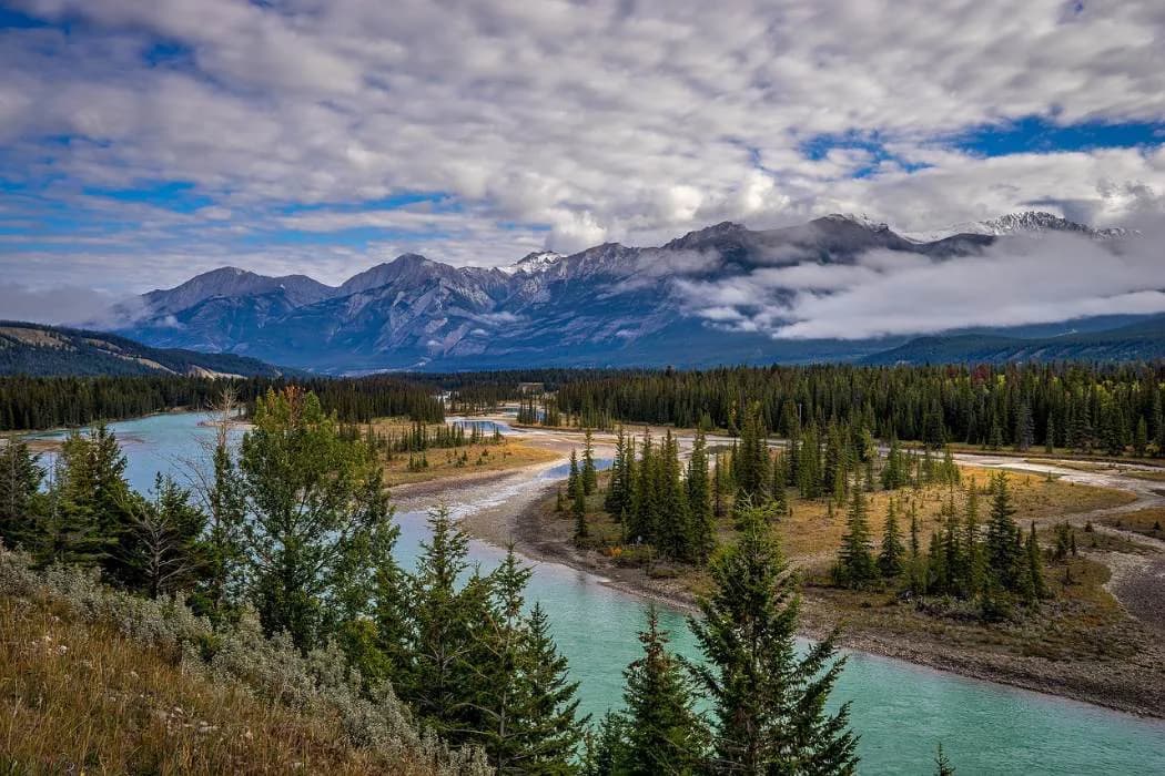 Leveraging success: Benefits of Canada Limited Partnership