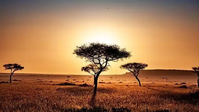 Segundo pasaporte para africanos: ¿Por qué deberían los africanos de alto patrimonio neto aplicar a una CPI?
