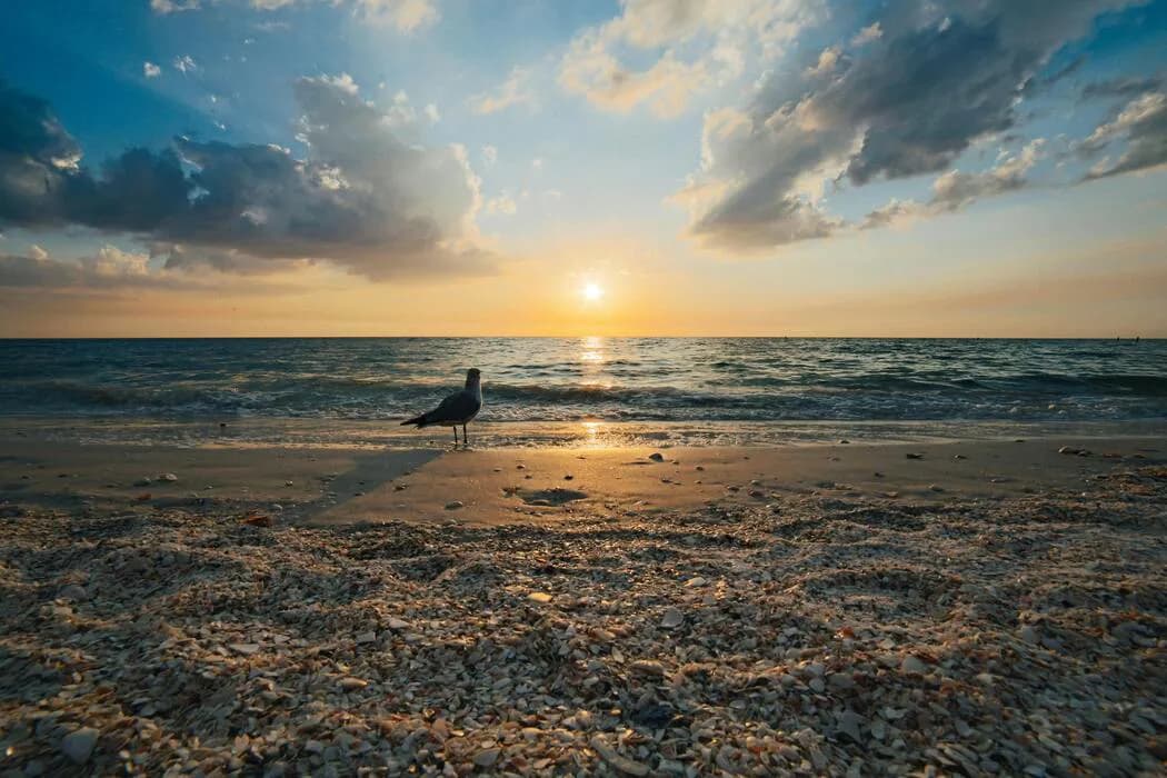 Granada: Playas, Naturaleza y Proyectos en el Parque Levera