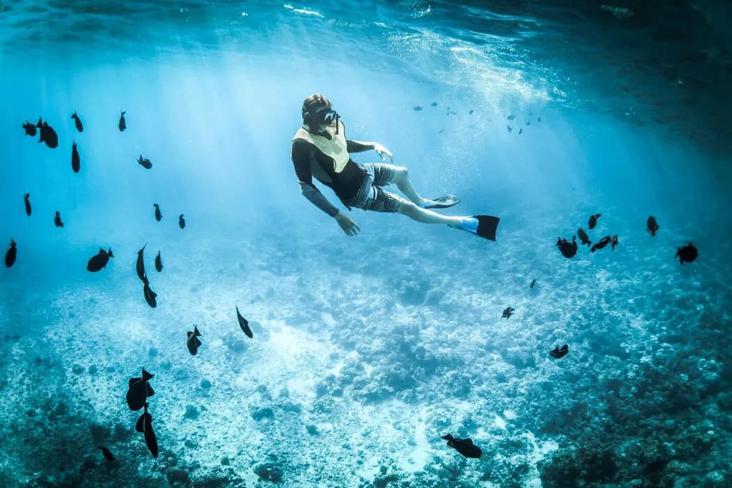 Explorando los Mejores Lugares de Buceo en el Pacífico: Vanuatu y el SS President Coolidge