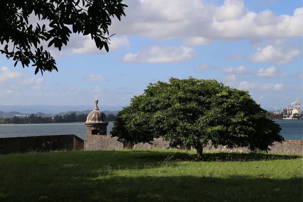 Where to Bank in 2025: Puerto Rico’s Unique Position in the Global Banking Sector
