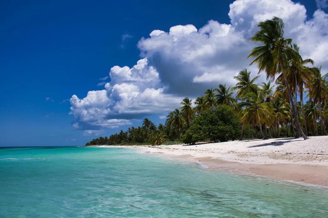 Ciudadanía En Asia Pacífico: Donde Está Vanuatu En El Panorama Actual